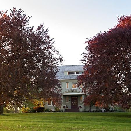 Yale Manor B&B & Yurt Glamping Eksteriør billede