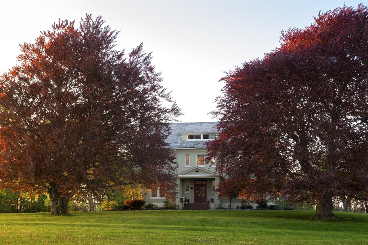 Yale Manor B&B & Yurt Glamping Eksteriør billede