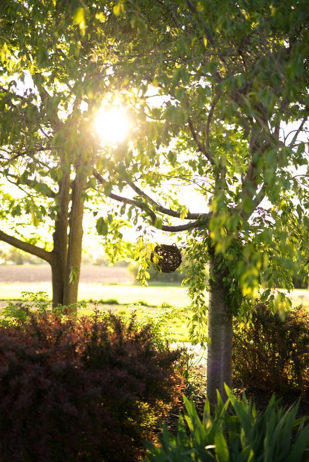 Yale Manor B&B & Yurt Glamping Eksteriør billede