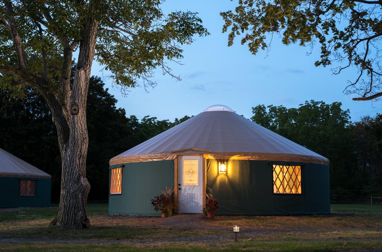 Yale Manor B&B & Yurt Glamping Eksteriør billede