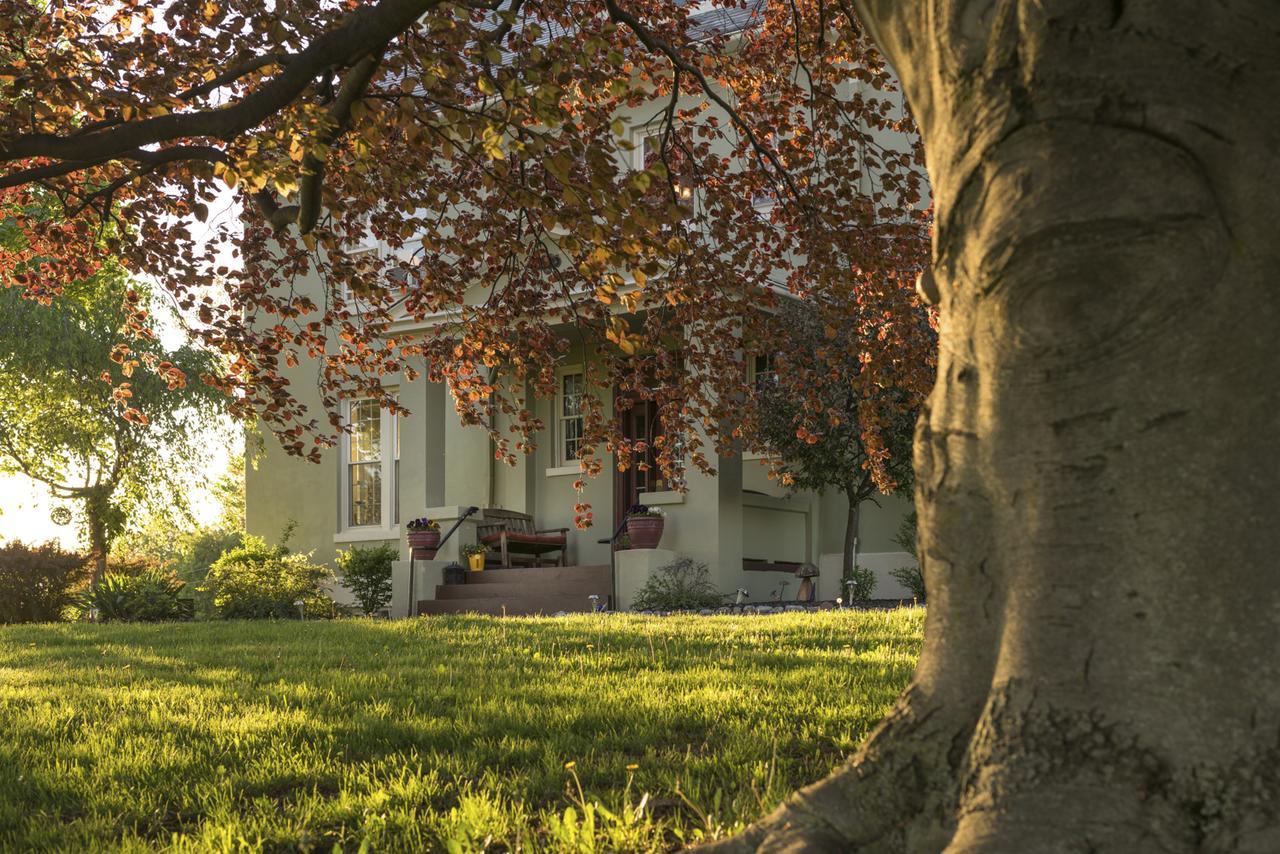 Yale Manor B&B & Yurt Glamping Eksteriør billede